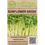 Sunflower Seeds 400 x 400