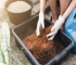 Compost and Coir Media