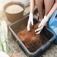 Compost and Coir Media