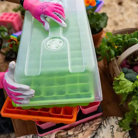 Maximizing Seed Germination: A Deep Dive Into Humidity Domes | Natural Yield Humidity Dome Over Seedlings