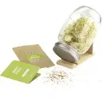 Urban Greens Grow Your Own Sprouts Kit Alfalfa open
