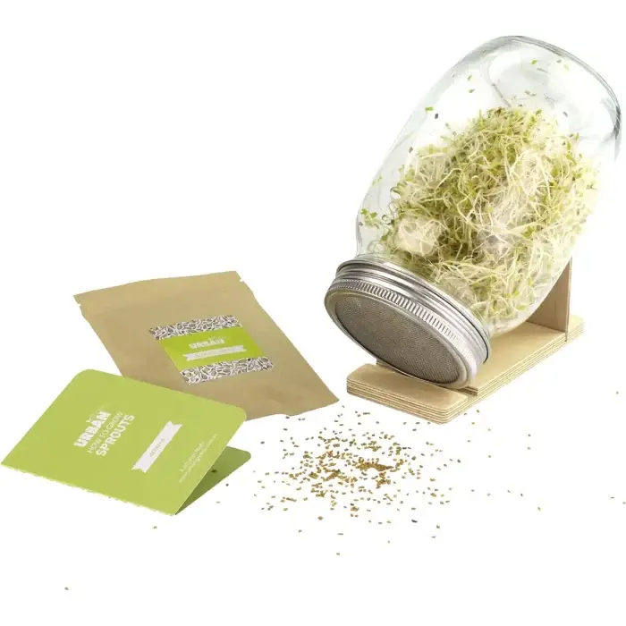 Urban Greens Grow Your Own Sprouts Kit Alfalfa Open
