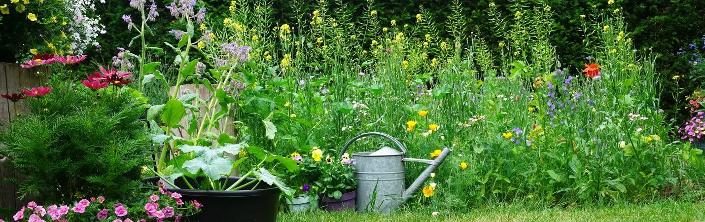 Growing Flowers And Flower Farming