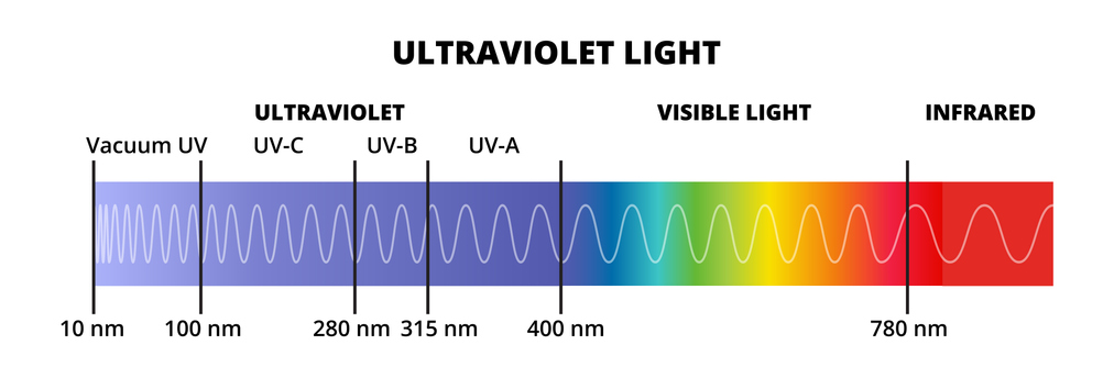 UV-C light