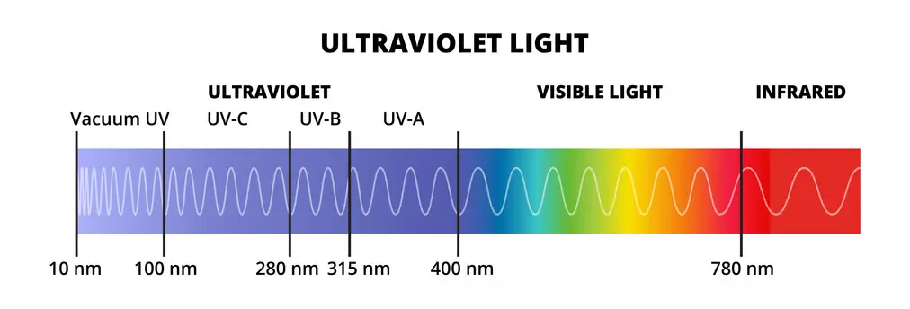 Uv-C Light