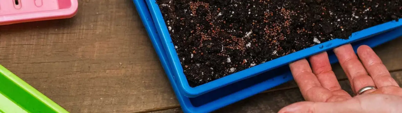 1010 Microgreen Trays