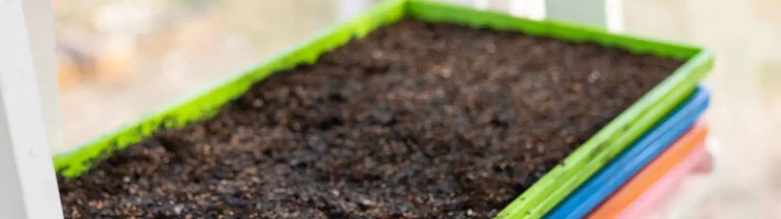 Microgreen Trays Stacked