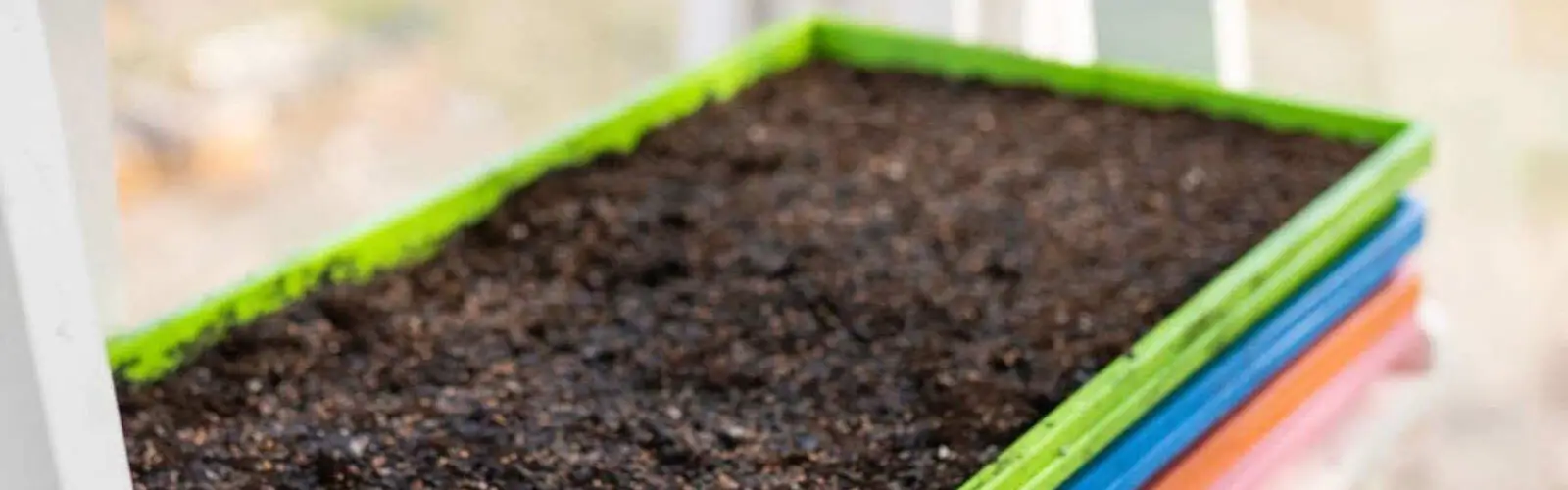Microgreen Trays Stacked