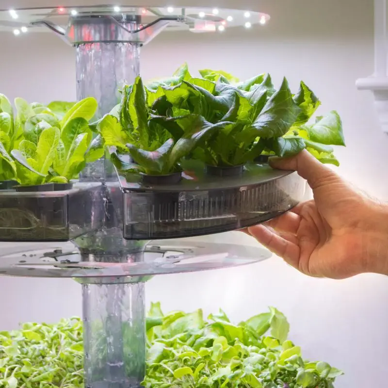 Aquatree ATL2 with Salad Greens