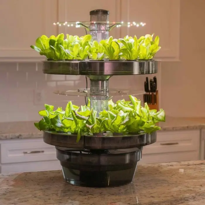 Atl2 Center Island 1024X1024 1 | Natural Yield