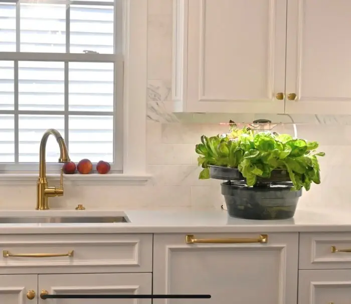 Kitchen 1 | Natural Yield