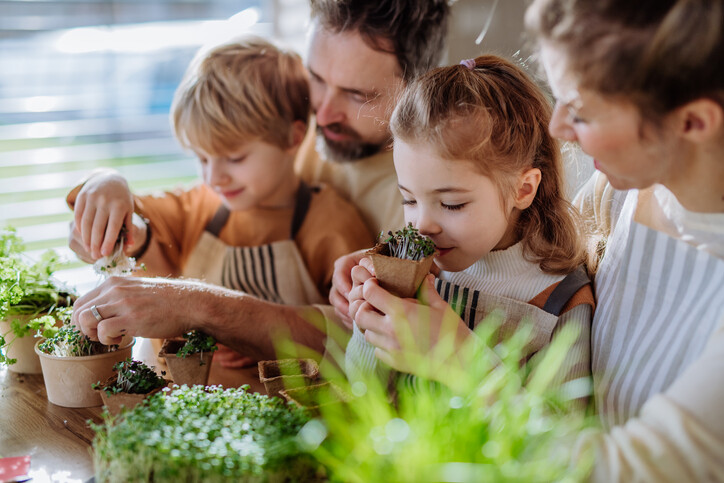iStock 1469986736 | Natural Yield