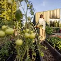 Harvesting In The Garden Near Modern Cabin