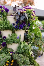 Greenstalk 7 Tier Stone Closer