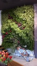 Croatia Green Wall