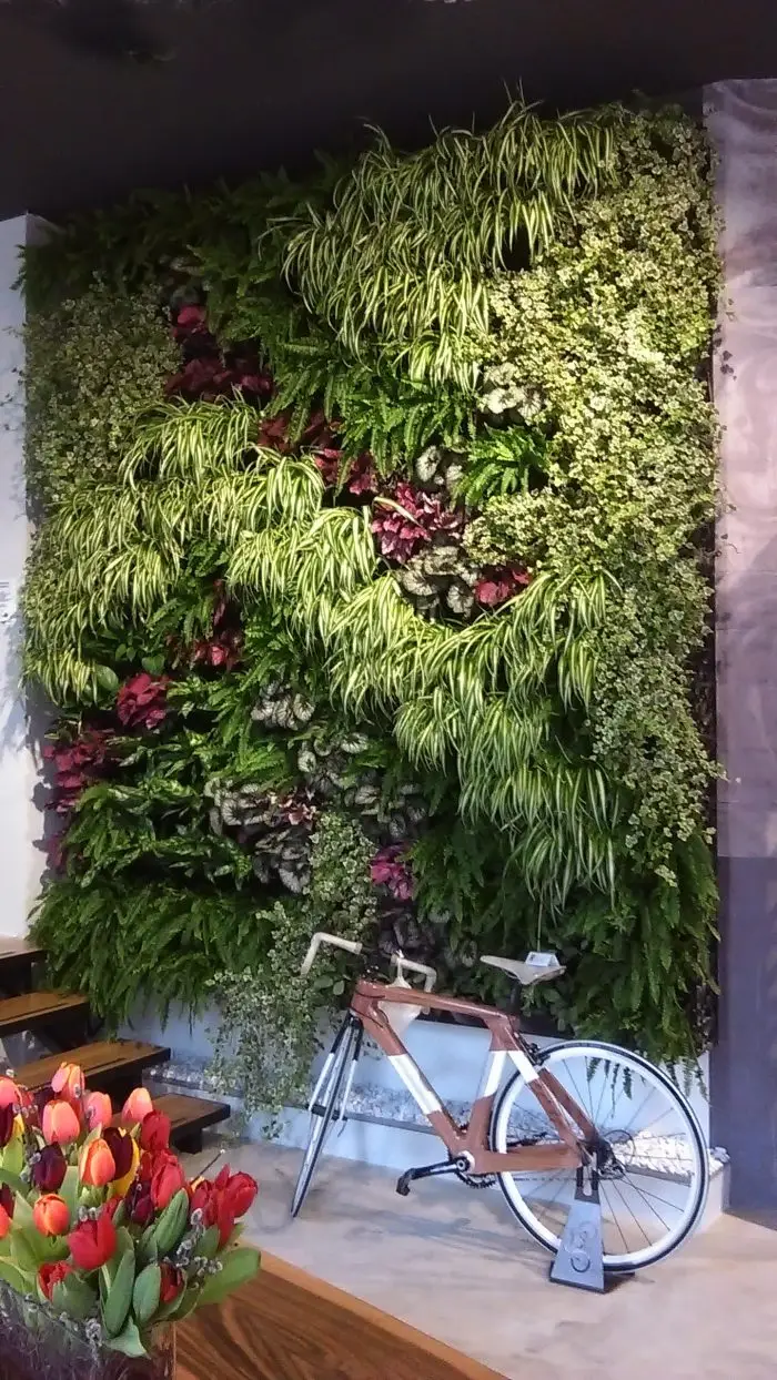 Croatia Green Wall