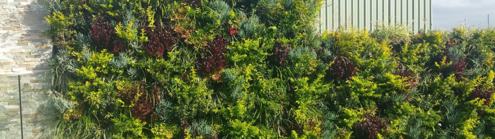 Grow Wall | Natural Yield Grow Wall Wide 2