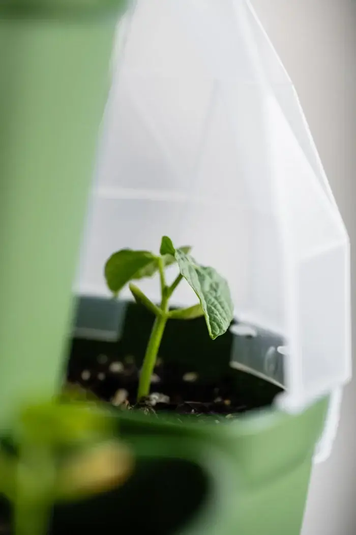 Greenstalk Seed House On Single Pot Zoomed