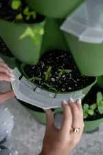 Greenstalk Seed House Placement Top View