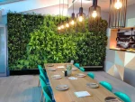 Grow Wall Cafe 1