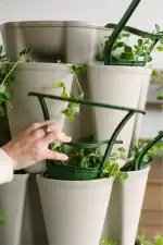 GreenStalk Trellis - Set of 3 Evergreen