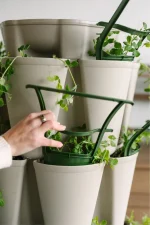 Greenstalk Trellis Planting