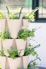 Greenstalk Trellis in Stone Planter