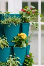 GreenStalk 5 Tier Basic Dragonfly