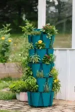 GreenStalk 5 Tier Basic Dragonfly