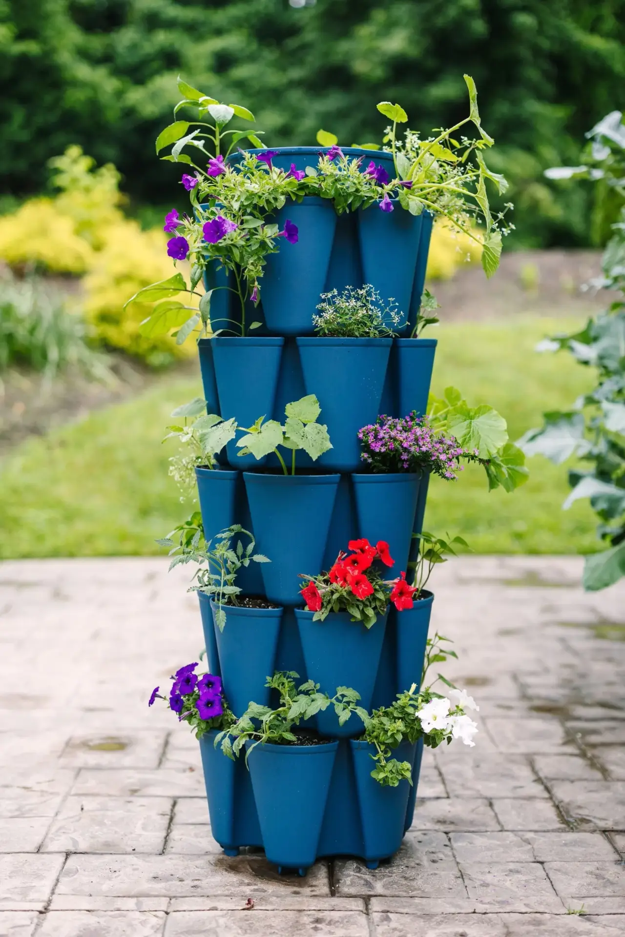Greenstalk Vertical Planter 5 Tier Blueberry On Patio