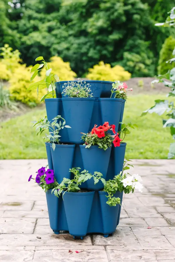 3 Tier GreenStalk Original Vertical Planter Blueberry