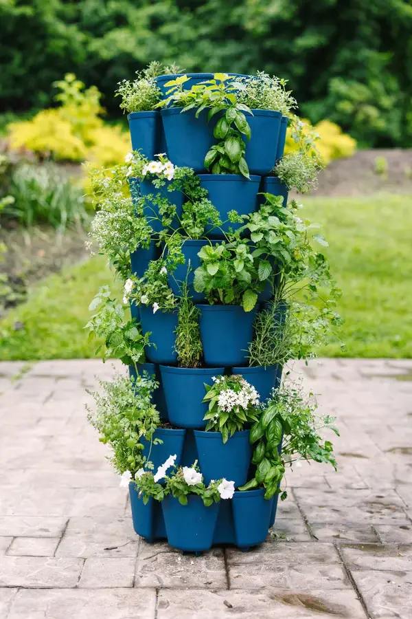 7 Tier GreenStalk Leaf Vertical Planter Blueberry