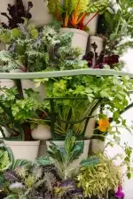 Greenstalk Trellis Supporting Flowers