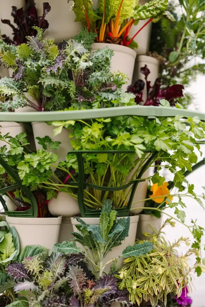 Greenstalk Trellis Supporting Flowers