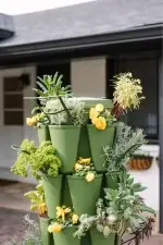 Greenstalk Trellis in Green Planter