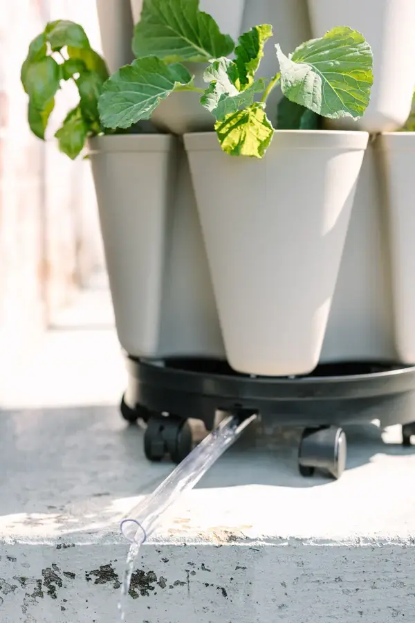 GreenStalk Mover Close Up with Drain