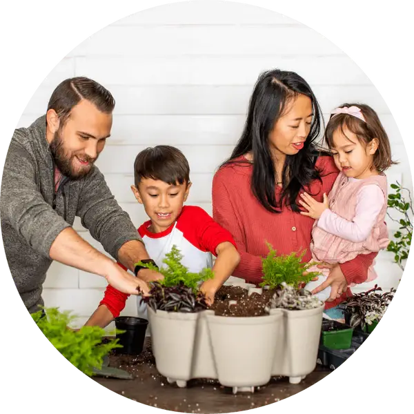 Greenstalk Family