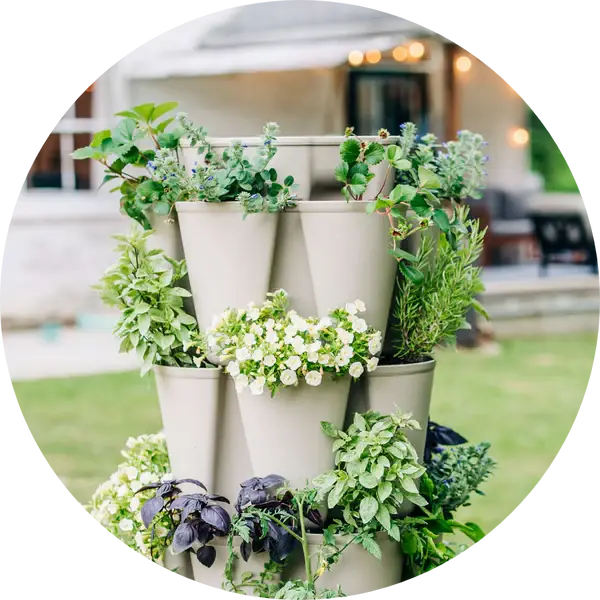 Homesteaders Greenstalk