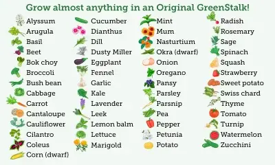Grow Almost Anything In A Greenstalk