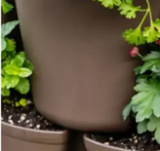 Greenstalk Chocolate Brown