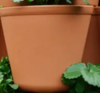 Greenstalk Classic Terracotta