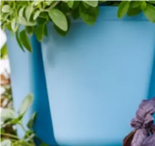 Greenstalk Glacier Blue