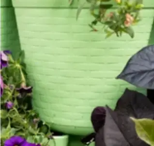 Greenstalk Luscious Green