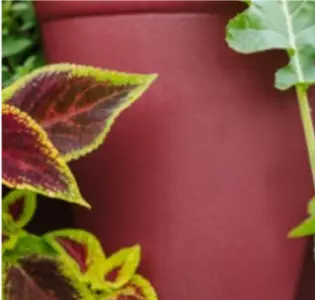 Greenstalk Rusted Garden Red