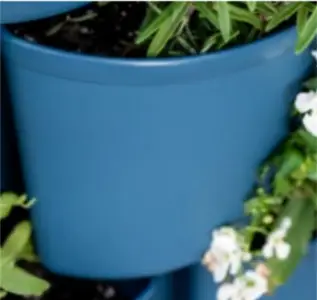 Greenstalk Blueberry