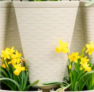 Greenstalk Stunning Stone