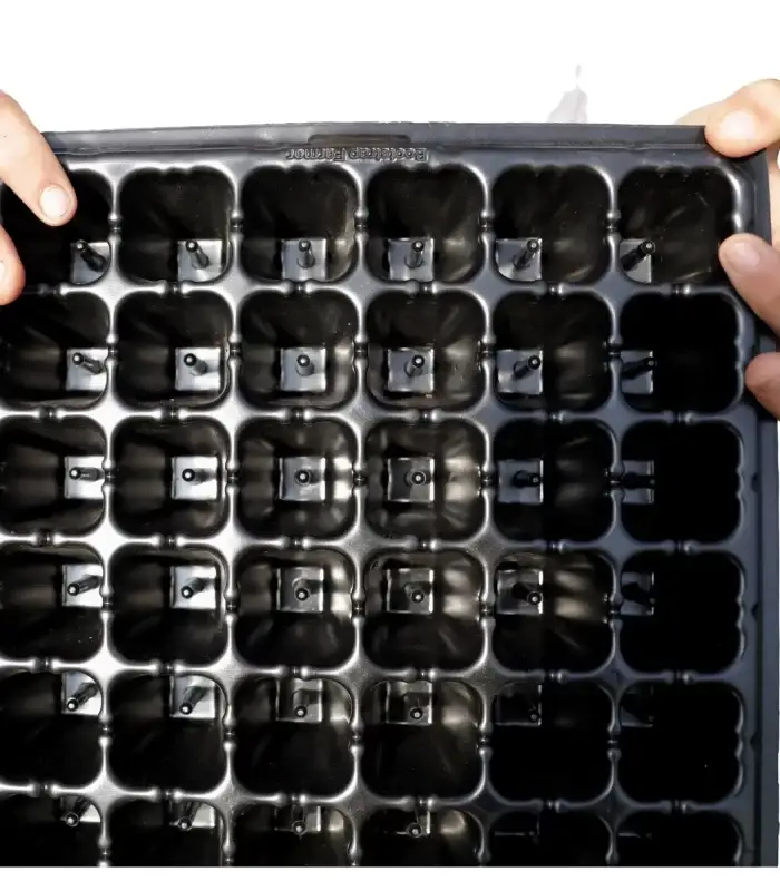 72 Cell Cell Plug Popper