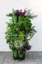 Greenstalk Plant Support Full