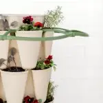 Greenstalk Plant Support