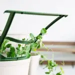 Greenstalk Trellis Single